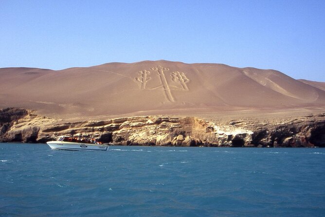 Morning: Ballestas Island Tour From Paracas With Entrances - Booking and Cancellation Policy