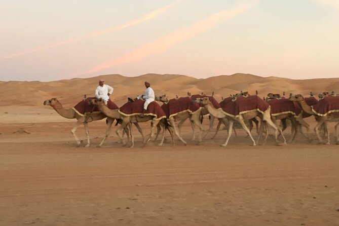 Morning Camel Trekking Over the Red Sand Dunes - What to Expect on the Trek