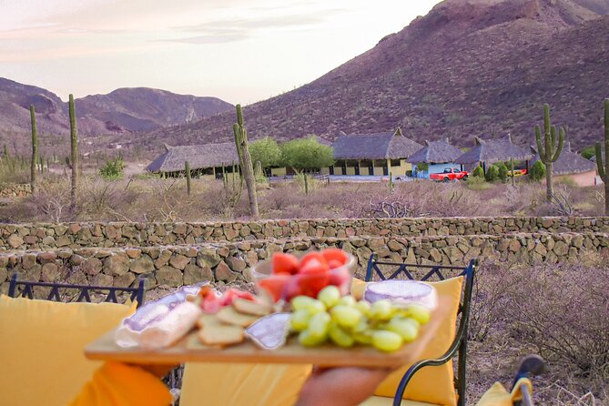 Morning Horseback Riding to the Beach and Breakfast! - What to Expect