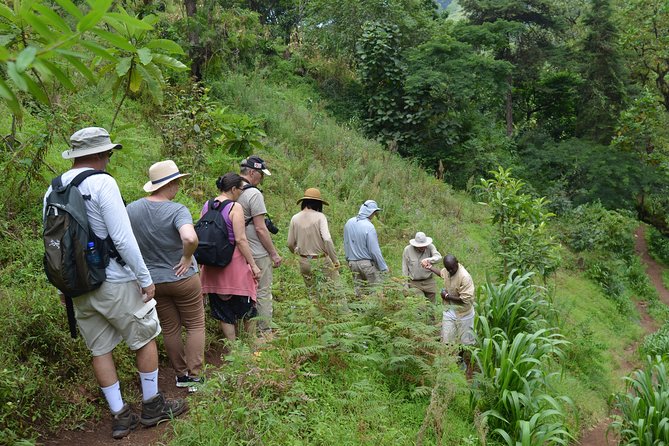 Mount Kilimanjaro Day Trip Trekking - Preparing for Your Trek
