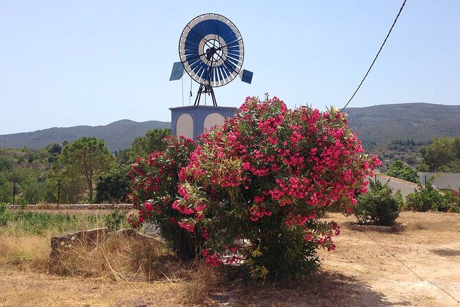 Mountain Bike Tour Font De La Mata - Tour Highlights