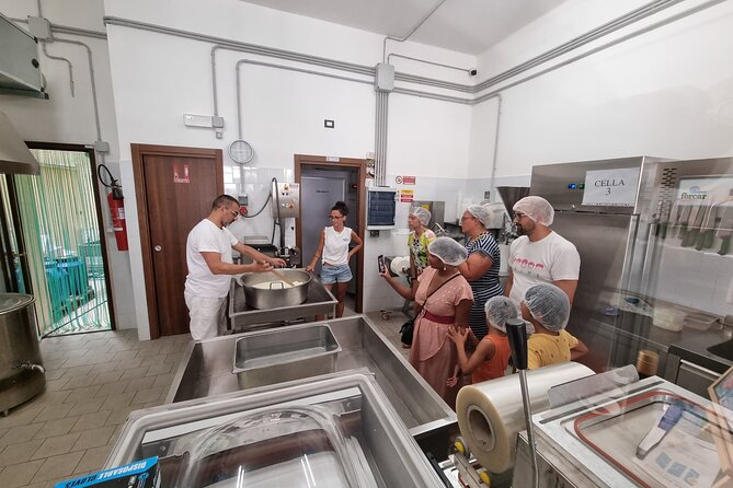 Mozzarella Live Show & Tasting in a Cheese Factory - What to Expect in the Experience