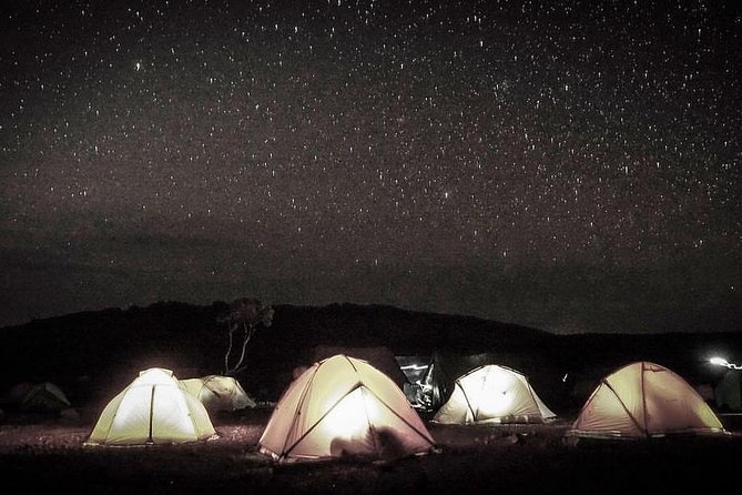 Mt Kilimanjaro 6 Days Marangu Route Hike - Traveler Reviews and Ratings