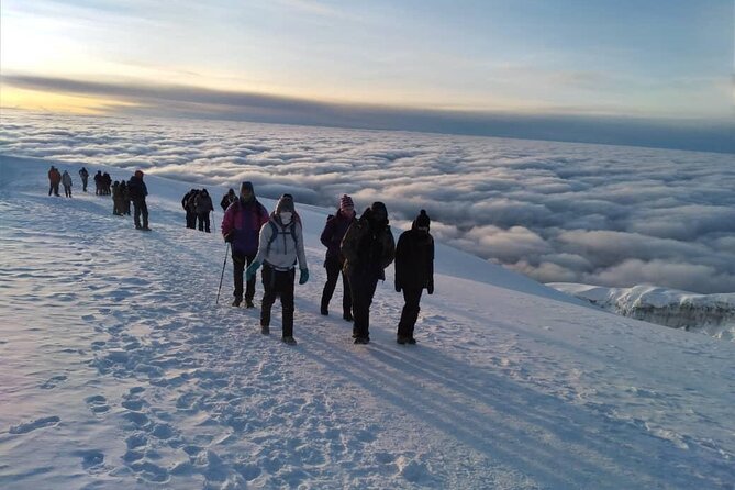 Mt Kilimanjaro Climb - 8 Days Lemosho - Safety Considerations for the Climb