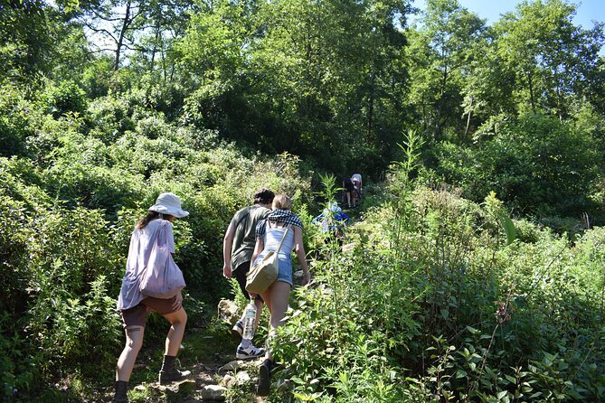 Muong Hoa Valley View & Village Trek in Sapa 1 Day - Booking and Cancellation Policy