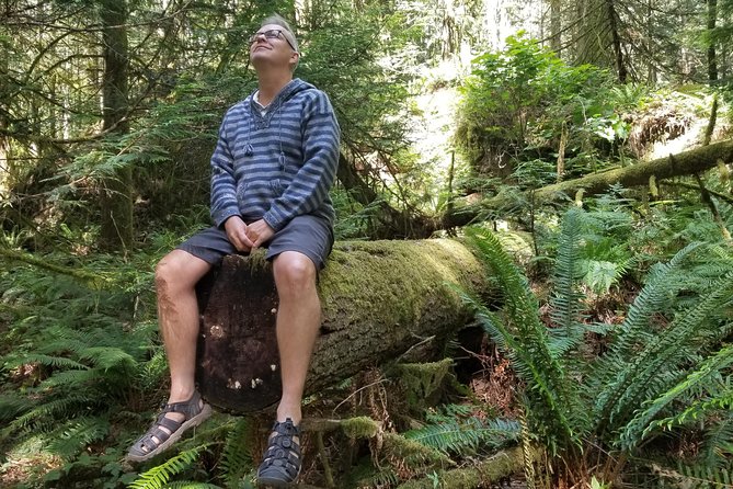 Mystical Rainforest Tour - Forest Magick - Visiting a 650-Year-Old Tree