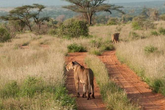 Nairobi National Park, Sheldrick Elephant, Giraffe Centre Tour - Booking and Confirmation Details