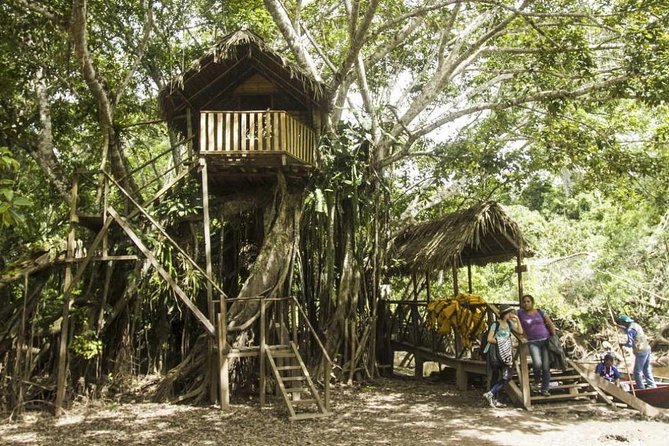 Nature in Its Pure Form - Alto Mayo 3d/2n - Accommodations and Amenities