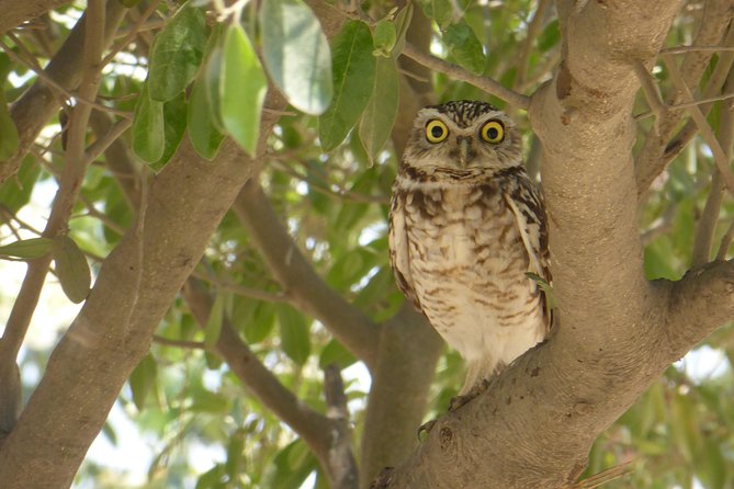 Nature Tour, Pómac Forest With Picnic Breakfast Included. - Cancellation Policy