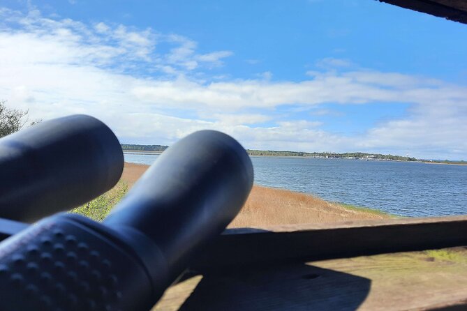 Nature Walk and Wildlife Tour Review - What to Expect