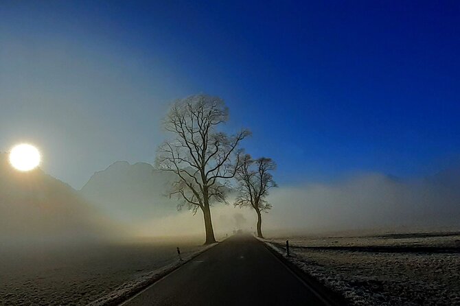 Neuschwanstein Exclusive Romantic Winter Tour INCL. TICKETS - Customizable Stops