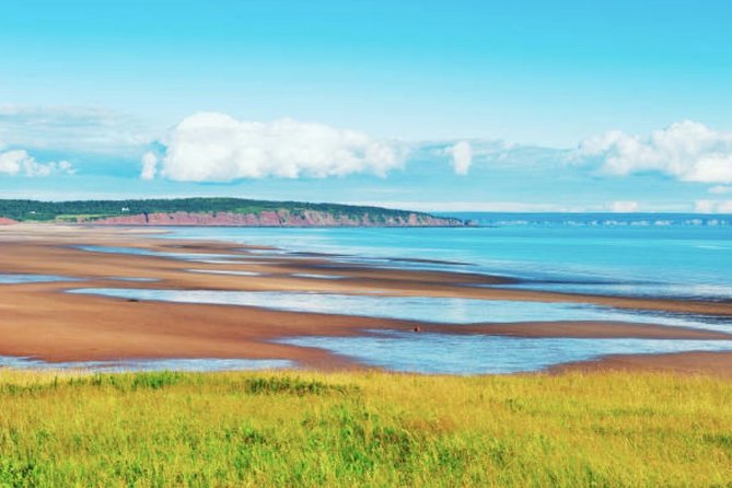 New Brunswick Shore Excursion: Bay of Fundy and More Highlights Tour - Local Seafood Experiences