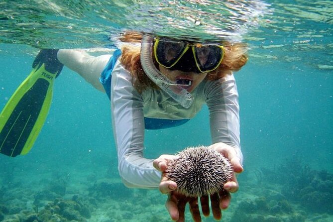 Nha Trang Bay: Explore Half-day Snorkeling at Mun Island - Tips for a Great Experience