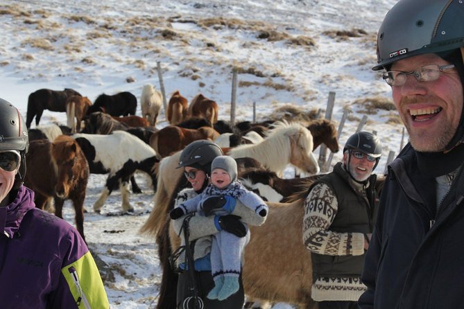 North Iceland: Horseback Riding Tour  - Akureyri - Hospitality and Memorable Moments