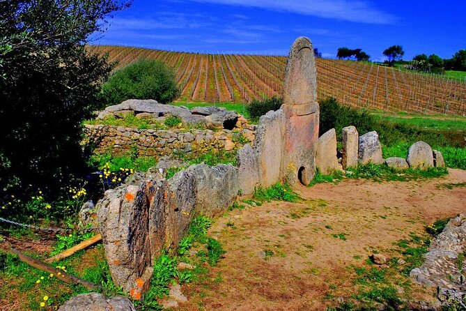 North Sardinia Private and Personalized Tour - Customizable Itinerary Flexibility