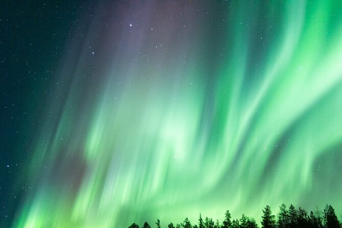 Northern Lights Hunting Tour From Rovaniemi With Guaranteed Views - Warm Refreshments and Snacks