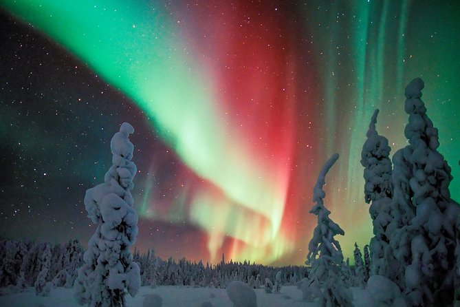 Northern Lights Snowmobile Driving Safari in Kemi - Accessibility and Group Size