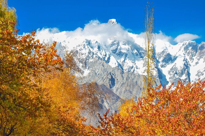 Northern Pakistan Tour - Accessibility Features