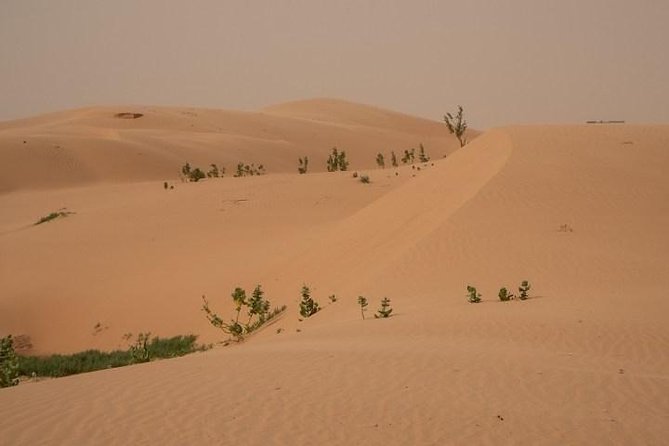 Nouakchott Explorer: Private Capital Tour - Logistics and Booking Details