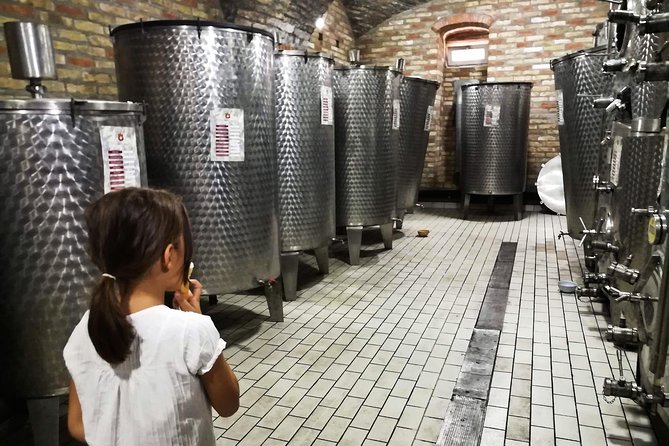 Novi Sad Saturday Full Day Trip - Traveler Reviews