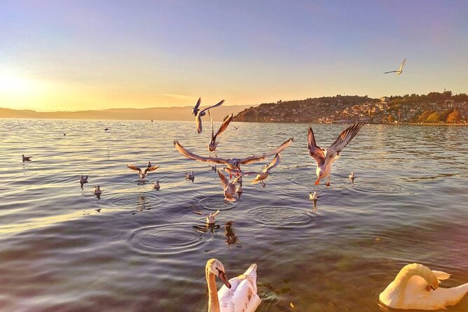 Ohrid One Day Trip From Pristina - Extensive Driving