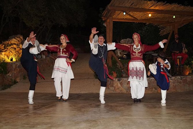 Olive Mill Festival - What to Expect at the Festival