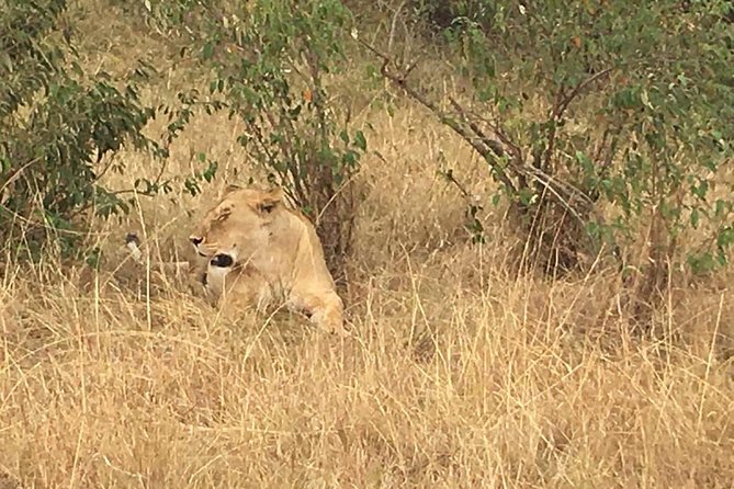 Olpejeta Conservancy Day Tour - What to Expect