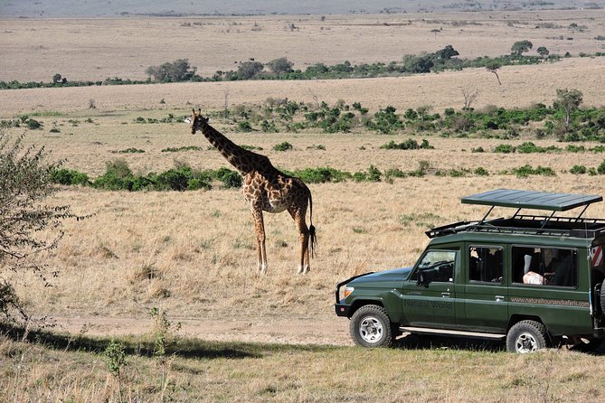 Olpejeta, Lake Naivasha, Masai Mara 5 Days Private Kenya Jeep Tour - Booking Information