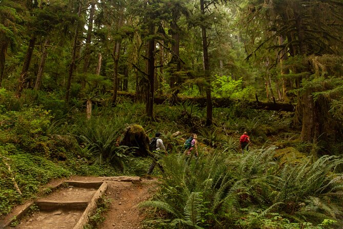 Olympic Full Day Private Tour and Hike - Customer Reviews