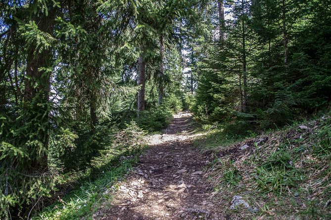 Olympic Mountain Trebević Hike - Cancellation Policy