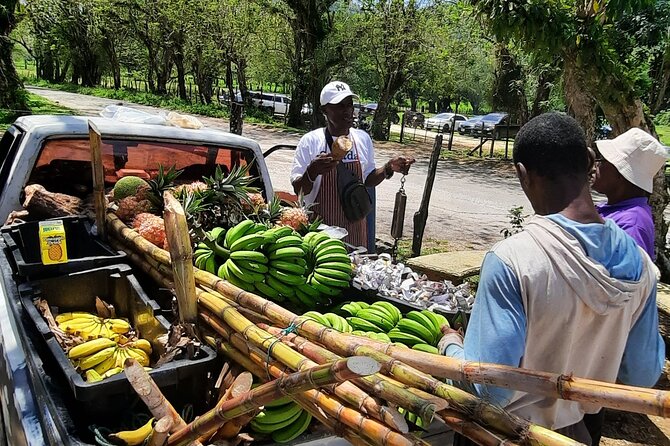Omars Black River Safari, YS Falls Tour From Montego Bay - Experiencing YS Falls