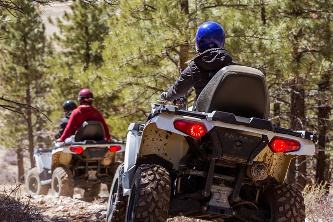 One Hour Guided ATV Ride in Utah - Encountering Local Wildlife