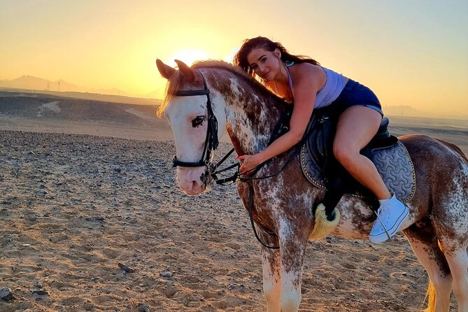 One Hour Horse or Camel Riding With Transfer- Sharm El-Sheikh - Pickup and Timing Considerations