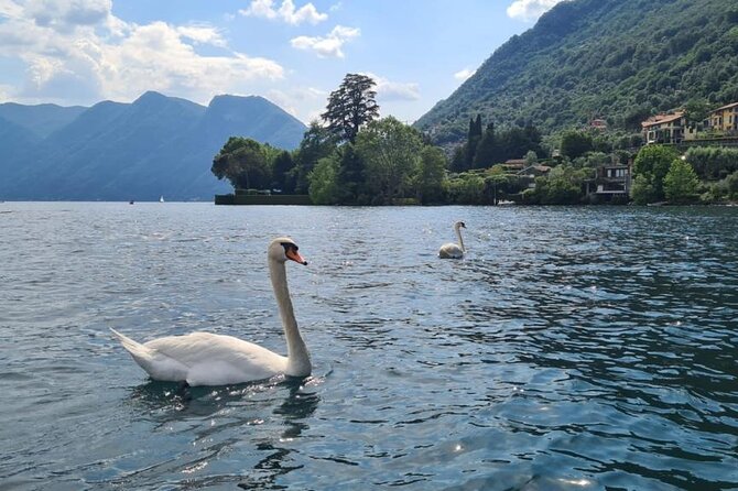 One Hour Private Speedboat Cruise on Lake Como - Speedboat Experience