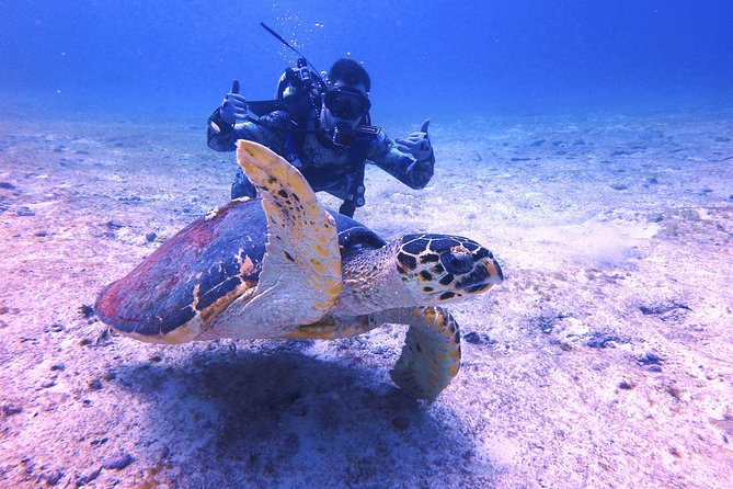 Open Water Certification Course-PADI - Start Time and Accessibility