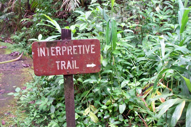 Original Tropical Rainforest and Beach Adventure - Customer Feedback