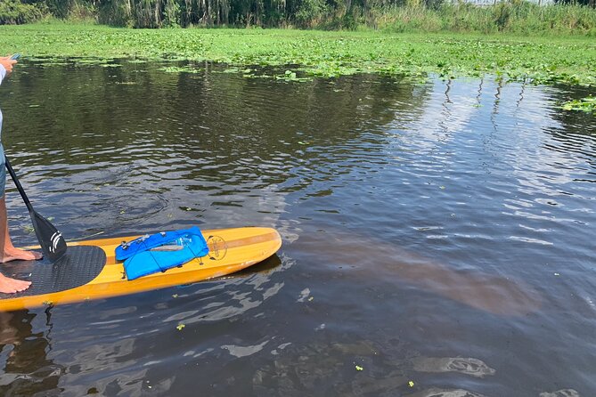 Orlando Manatee and Olde Florida History Adventure Tour - Cancellation and Booking Policy