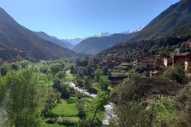 Ourika Valley and Atlas Mountains Day Trip - Trekking the Atlas Mountains