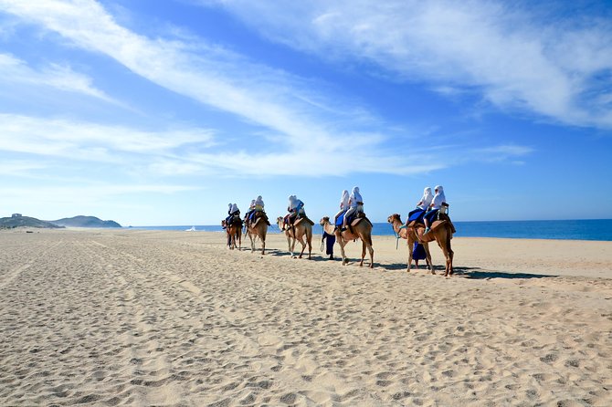 Outback Camel Ride - Tips for a Memorable Experience