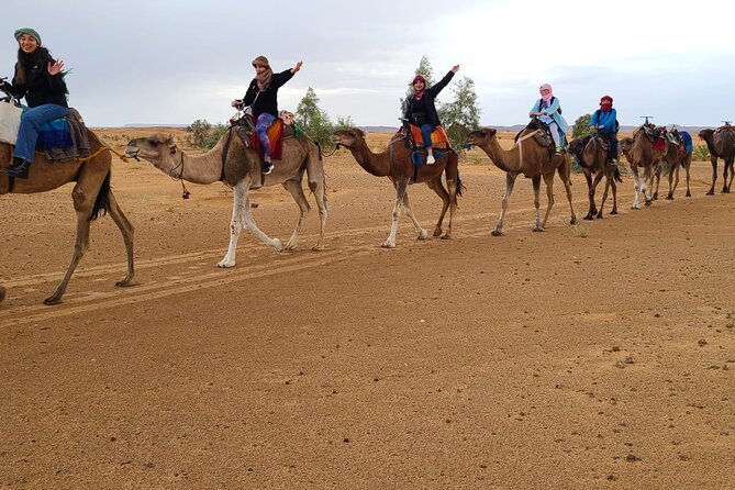 Overnight Camel Trek in Merzouga Dunes - Accessibility and Traveler Considerations
