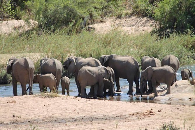 Overnight Kruger National Park Classic Camping Safari - What to Pack for the Safari