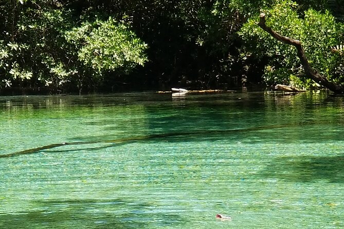 Oviedo Lagoon + Salado Stream, ALL INCLUSIVE, From Pedernales - Discovering Salado Stream