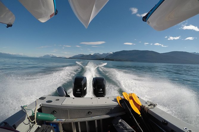 Paddle With Whales! Kayak Adventure - Cancellation Policy