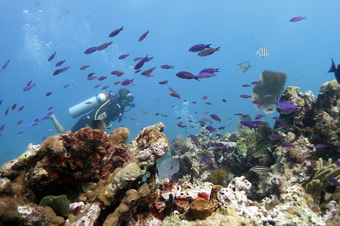 PADI Open Water Diver Course - Group Size Limit