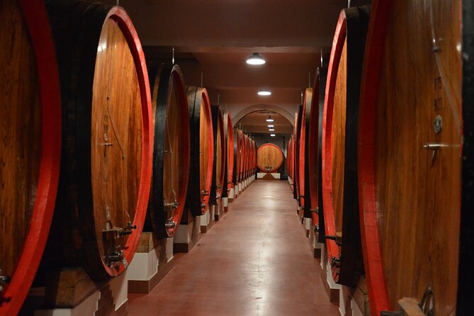 Pagus Wine Tours® - Soave and Amarone - Half Day Wine Tour - Customer Feedback Highlights