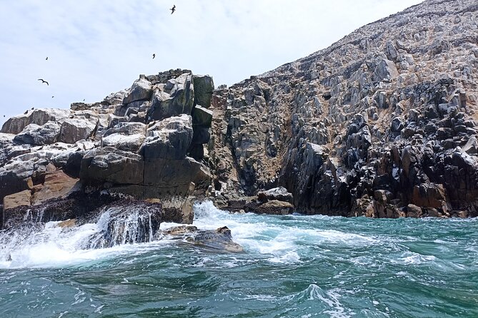 Palomino Islands Tour With Shuttle Service - Questions About Your Stay