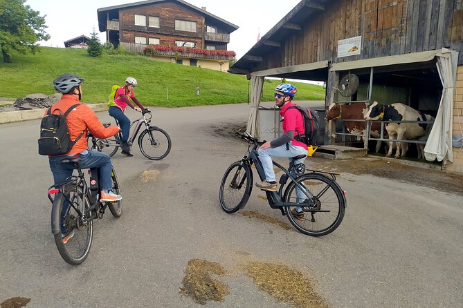 Panoramic E-Bike Tour With a Lake Cruise - Traveler Reviews and Feedback