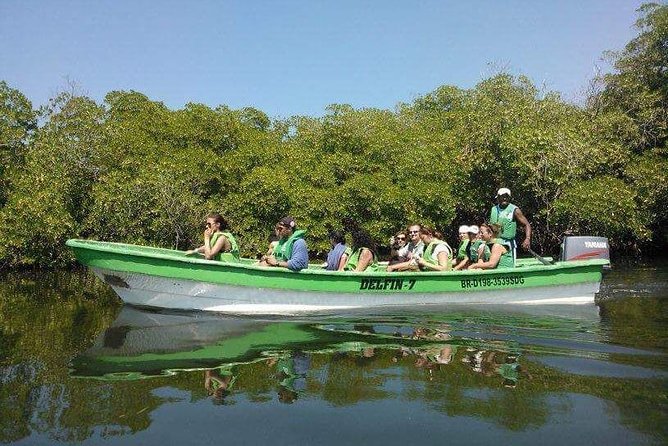 Paradise Island Cayo Arena & Mangroves From Puerto Plata (Full Day) - Cancellation Policy