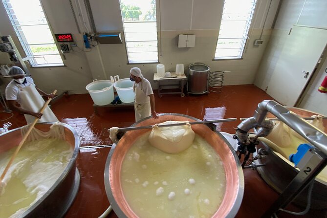 Parmigiano-Reggiano Cheese Factory Small Group Tour From Parma - Viator Help Centre for Inquiries