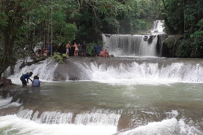 Pelican Bar South Coast Experience, Appleton Rum Tour and YS Falls - Discover Appleton Estate